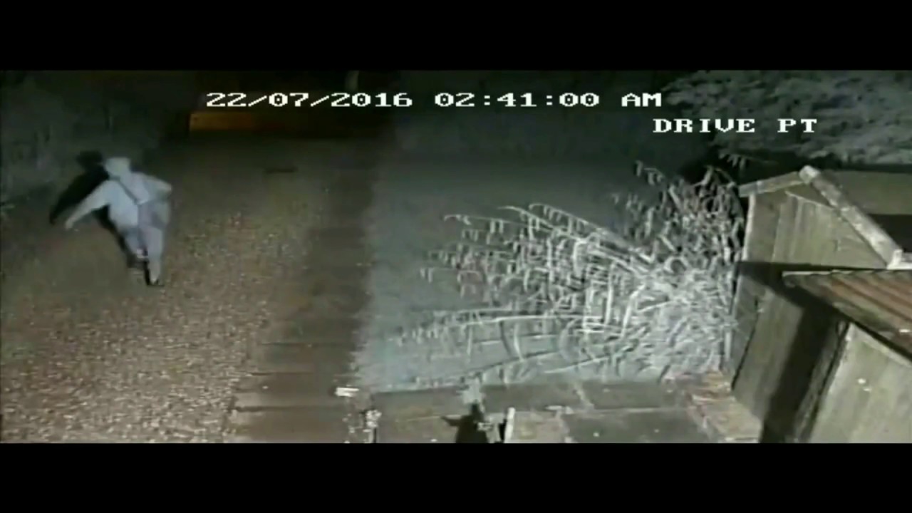 Thieves caught on CCTV Camera with music