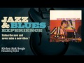 Hound Dog Taylor - Kitchen Sink Boogie - JazzAndBluesExperience