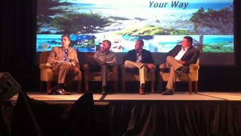 Immersive Telepresence Panel