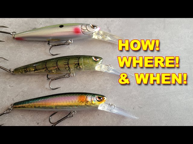 Top 5 Baits For Early Spring Bass Fishing! (How To Fish Them