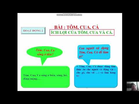 Tự nhiên xã hội lớp 3 - Tuần 26. Bài dạy: Tôm, cua, cá