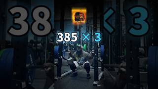 385 × 3 SQUAT – MY LANE | Young Lion Unleashed