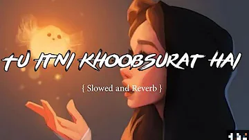 Tu Itni Khoobsurat Hai - { Slowed + Reverb } Jubin Nautiyal, Prakriti Kakkar | #Abid S R Songs