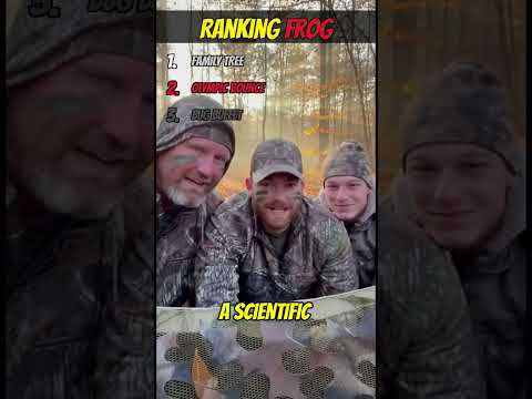 Why Are Frogs Always Happy? 🐸