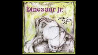 Dinosaur Jr. - You&#39;re Living All Over Me (Private Remaster) - 08 Lose