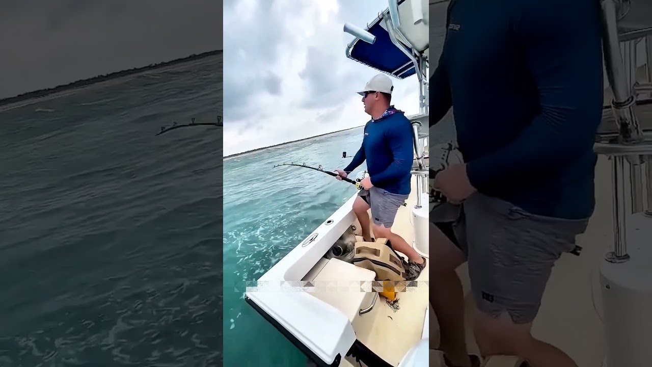 Shark Stole His Fish... Then THIS Monster Appeared! 😳#shorts