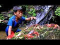 Catching the first stone crabs of the season in a waterfall bac was lucky to catch a big fish