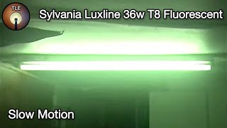 Preheat Fluorescent Tube Slow Motion Ignition (#1)