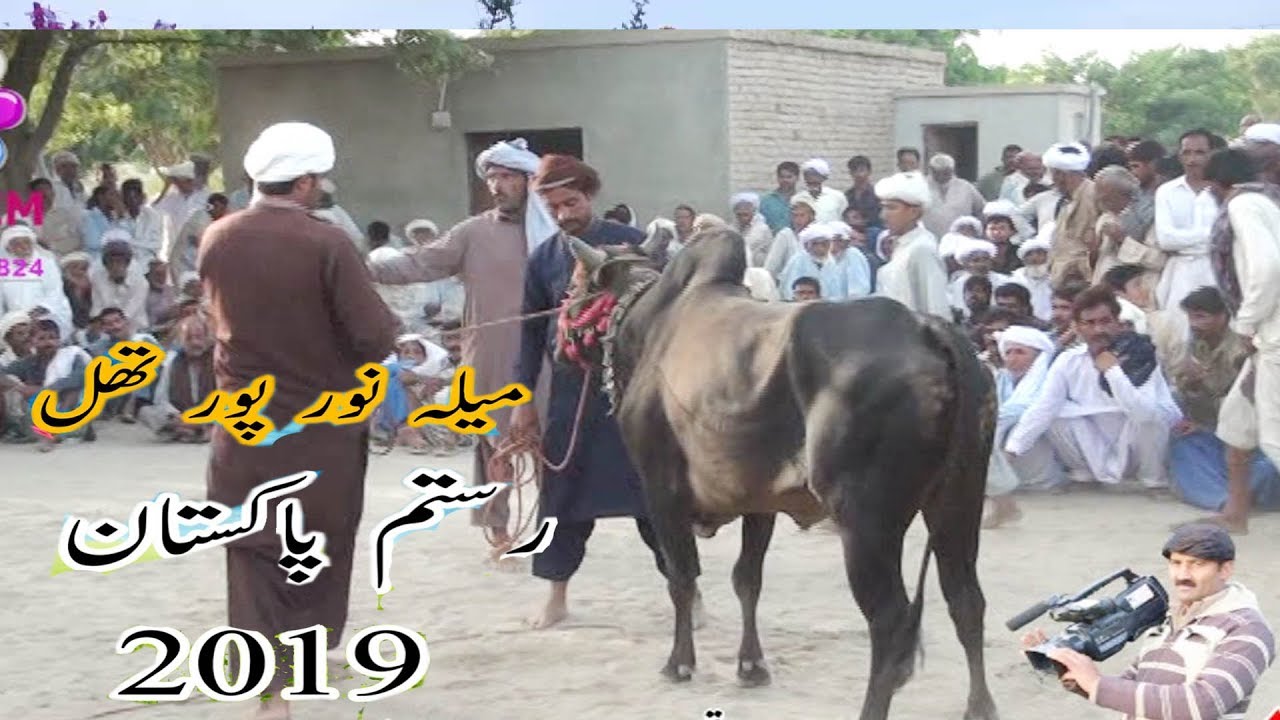 BESAKHI MAILA NEW KOT SULTAN  LAYYAH  2019  BAILON KI DORR part3