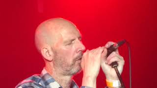 Half Man Half Biscuit - National Shite Day (The Welly Club, Hull -  24th January 2020)