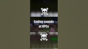 Finishing move #minecraft #npc