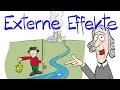 3.2 Externe Effekte