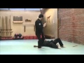 Rick jeffcoats  american kenpo karate  techniques brushing the storm