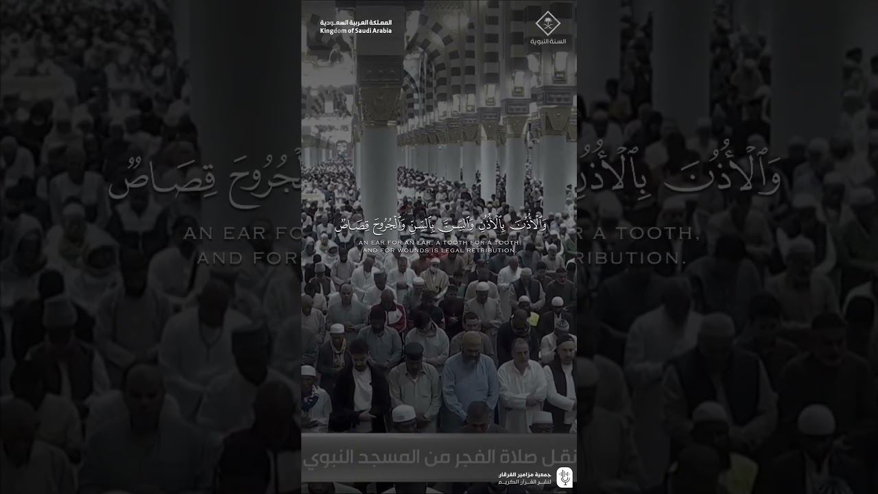 مقتطف من تلاوة فضيلة الشيخ #عبدالله_القرافي من صلاة الفجر 8 جمادى الآخرة 1447هـ