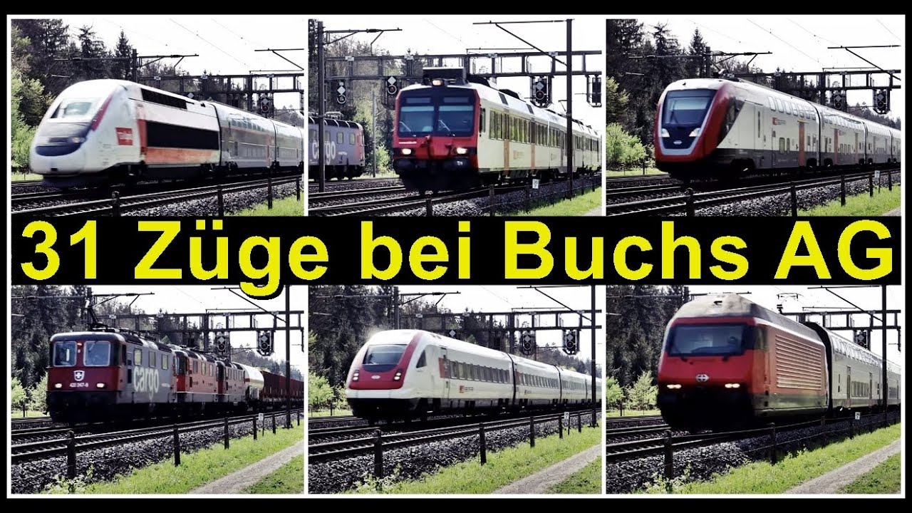 31 Zugsichtungen bei Buchs AG | Kanton Aargau | Schweiz 2024