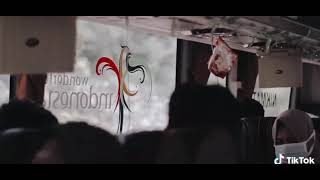 story' wa Ter ambyar bus pesona Indonesia