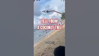 Coconut Tree Climbing Challenge