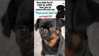 kala Doggesh bhai 🐕🐶 #funny #aestheic #reaction #dogs #funnyshorts #viral #cute
