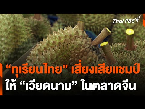 ทุเรียนไทยเสี่ยงเสียแชมป์ให้เวียดนาม 