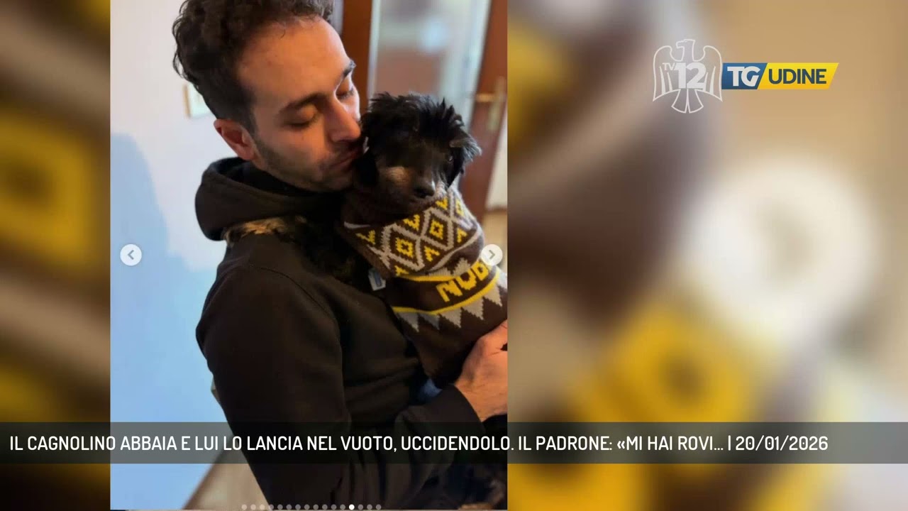 IL CAGNOLINO ABBAIA E LUI LO LANCIA NEL VUOTO, UCCIDENDOLO. IL PADRONE: «MI HAI ROVI... | 20/01/2026