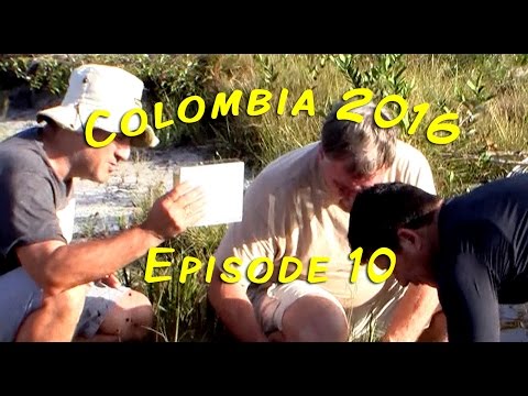 Colombia 2016! - Episode 10