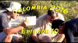 Colombia 2016! - Episode 10 @TedsFishroom