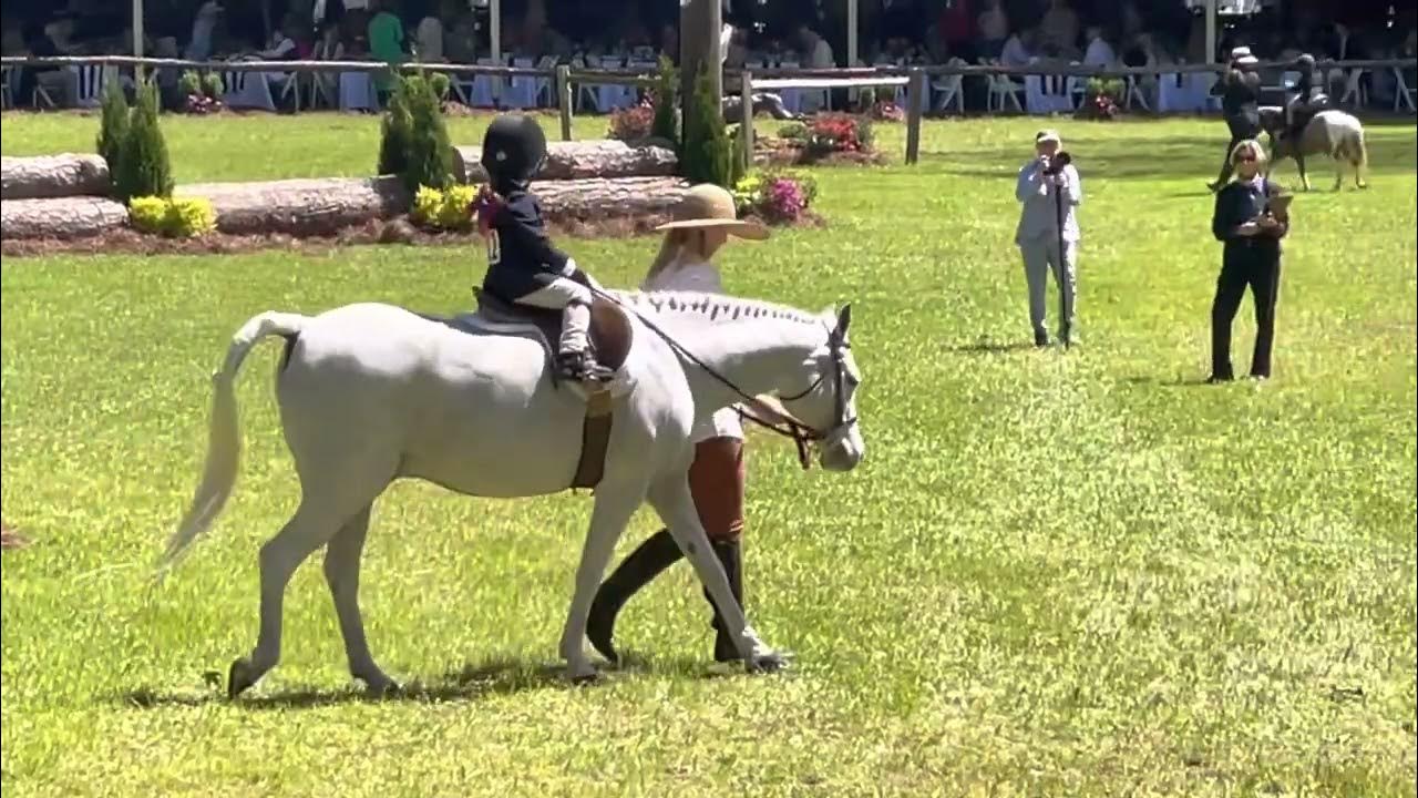 the-aiken-horse-show-leadline-4-youtube