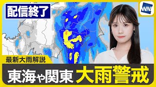 ウェザーニュースの配信のサムネイル画像