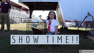 Show Time!!!! Zoes first 4-H poultry show| VLOG |
