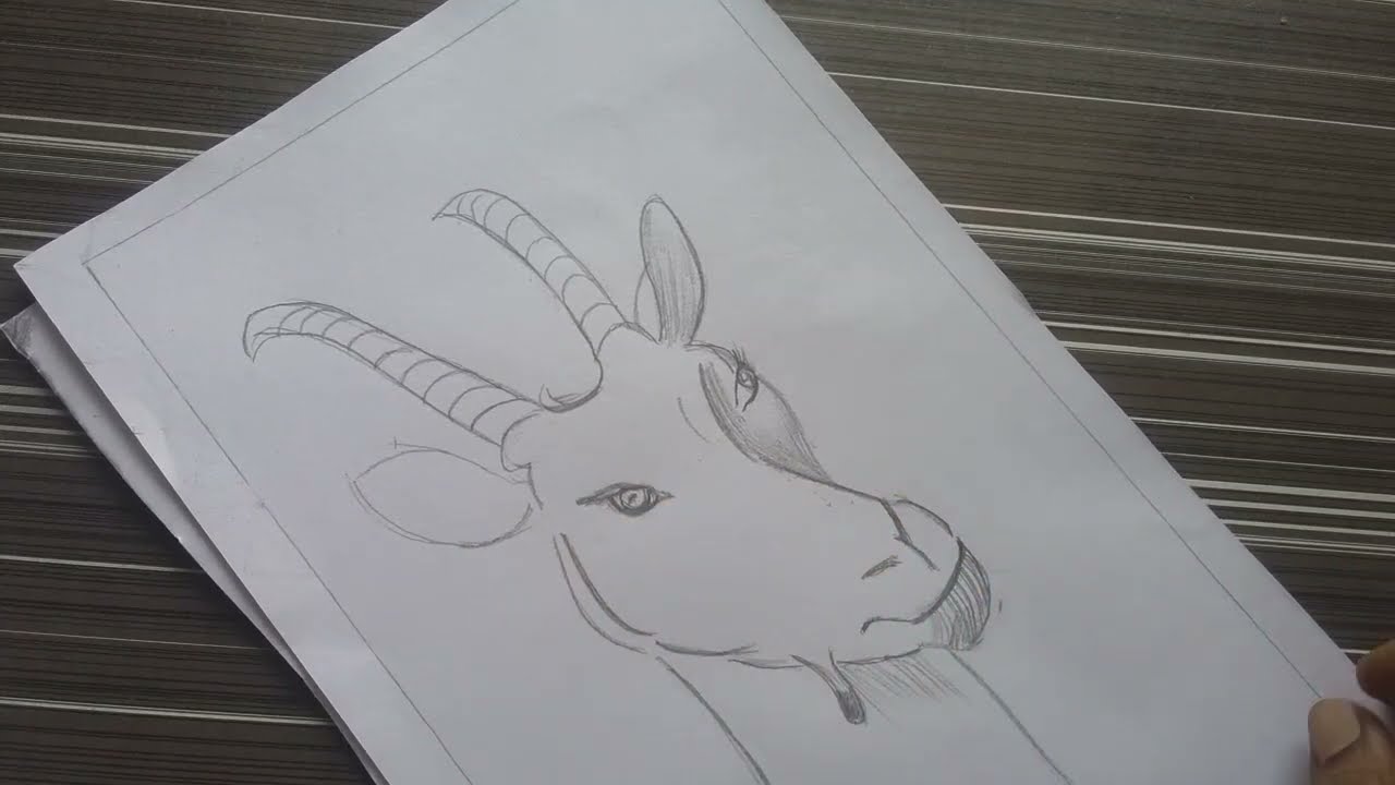 how to draw face of the goat, draw with me , pencil shading,@howtodrawstepbystep