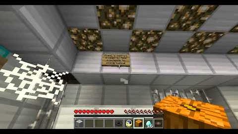 Minecraft Maps: Escape the Madman (PART 1)