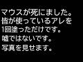 私は避けるべきだと思うし、実際使っていません