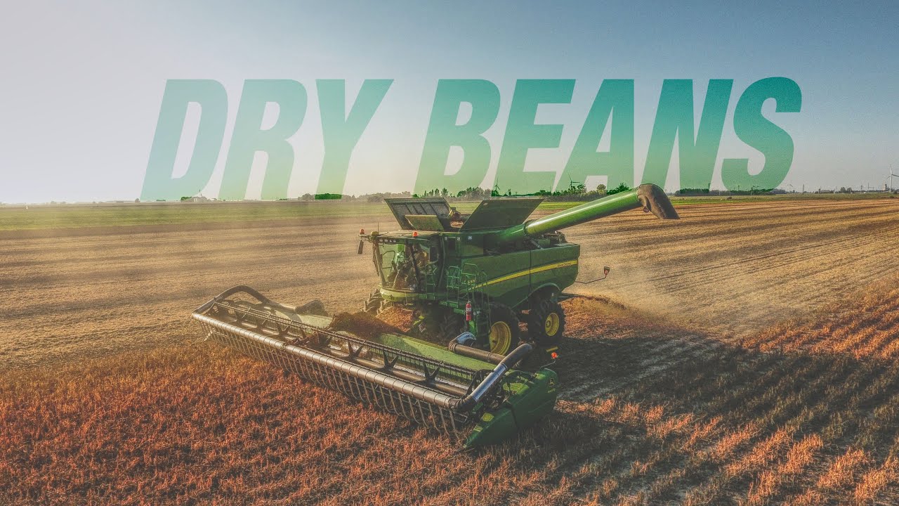 Michigan Dry Bean Harvest 2018 YouTube