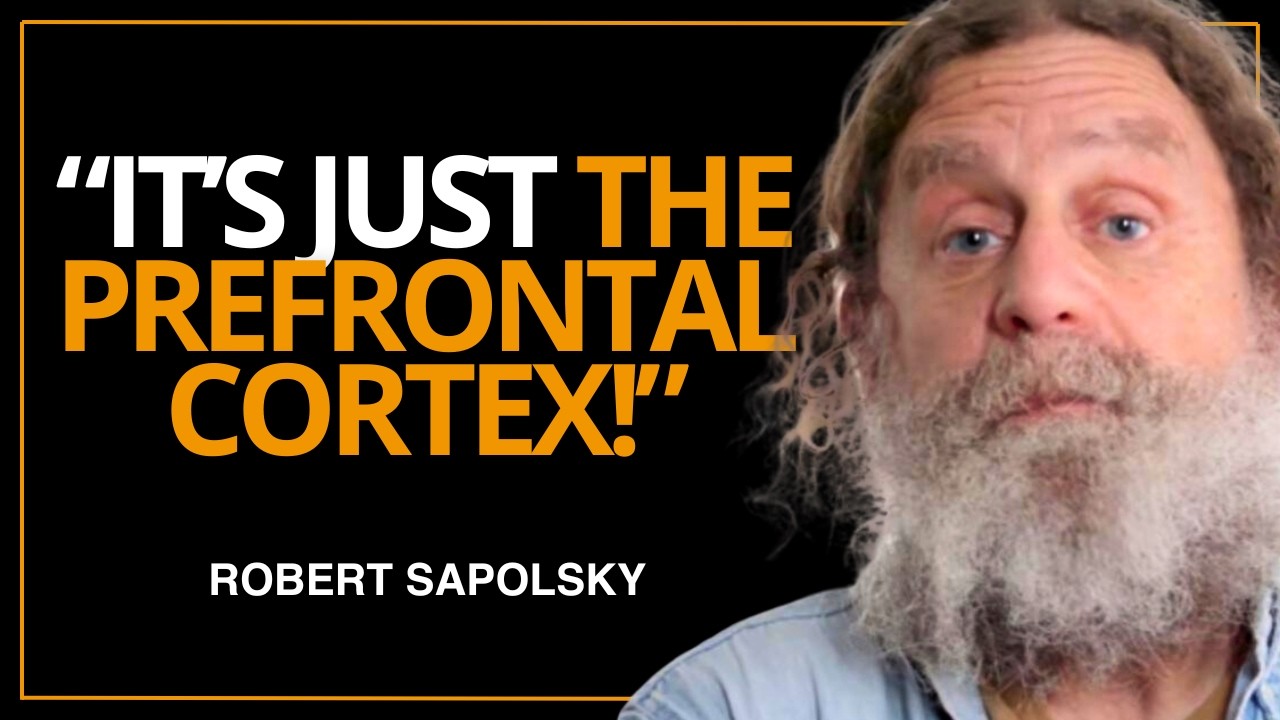 Neuroscientist: Free Will Is An Illusion | Robert Sapolsky - YouTube