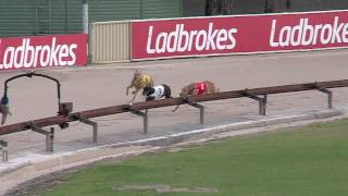GARDENS-PT-21072017-RACE-1