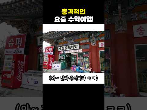늙은이들 충격먹는 요즘 수학여행
