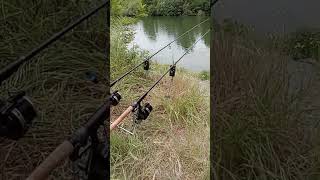 MrRenfield Carping Late Night sta trasmettendo dal vivo.
