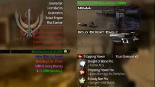 MW2 Split Screen Mods