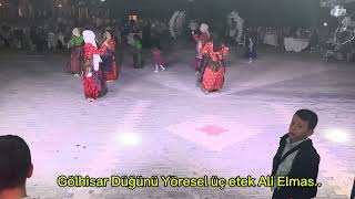 ALİ ELMAS Erik Dalı Üç Etek