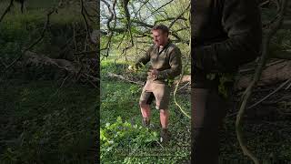 Using a Leuku