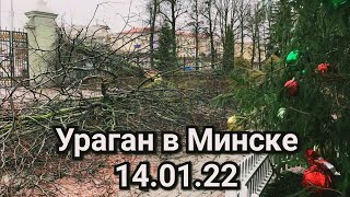 Минск Сегодня | Ураган В Минске 14 Января | Сильный Ветер Беларусь Новости