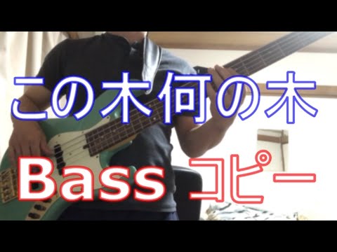 この木なんの木　Bass play