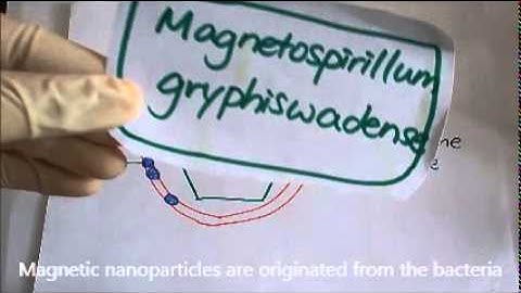 CUHK iGEM 2015 Project Video