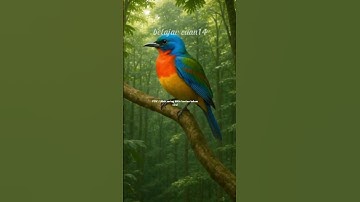 Thumbnail of This Rare Bird Only Appears Once in a Lifetime #rarebirds #shortsfeed #fypviral #birds#animal#senja
