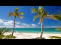 5-Hour Tropical Beach Escape: Serene Blue Skies, White Sands, Hammock and Palm Tree | relax &amp; sleep