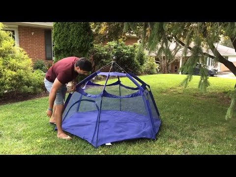 Alvantor Pop Up