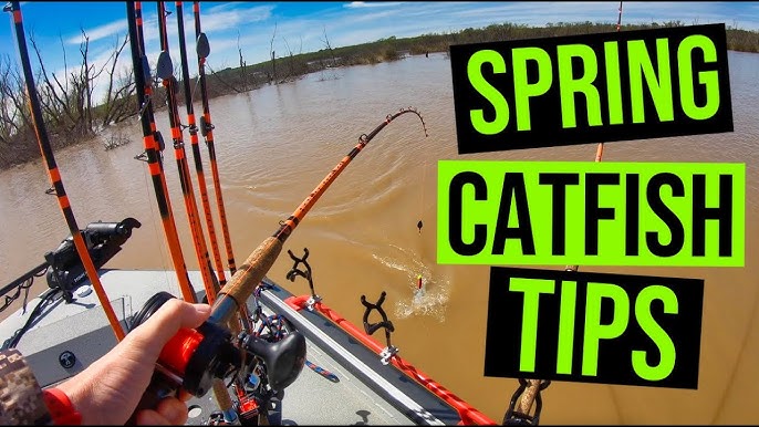 Best Catfish Rigs For BIG CATFISH (and How To Tie Them) 