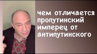 чем отличается пропутинский имперец от антипутинского #дккакаду