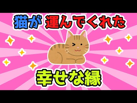 迷いネコを拾って飼っていたが配達員のお兄さんが号泣しながら猫を抱きしめたんだ。そしてお兄さんとも仲良くなって...猫が縁を運んでくれたんだな【2ch面白スレ/ほのぼのスレ】【ゆっくり解説】