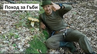 Поход за Гъби в Родопите - Манатарки, Сърнели, Масловки, Коралки